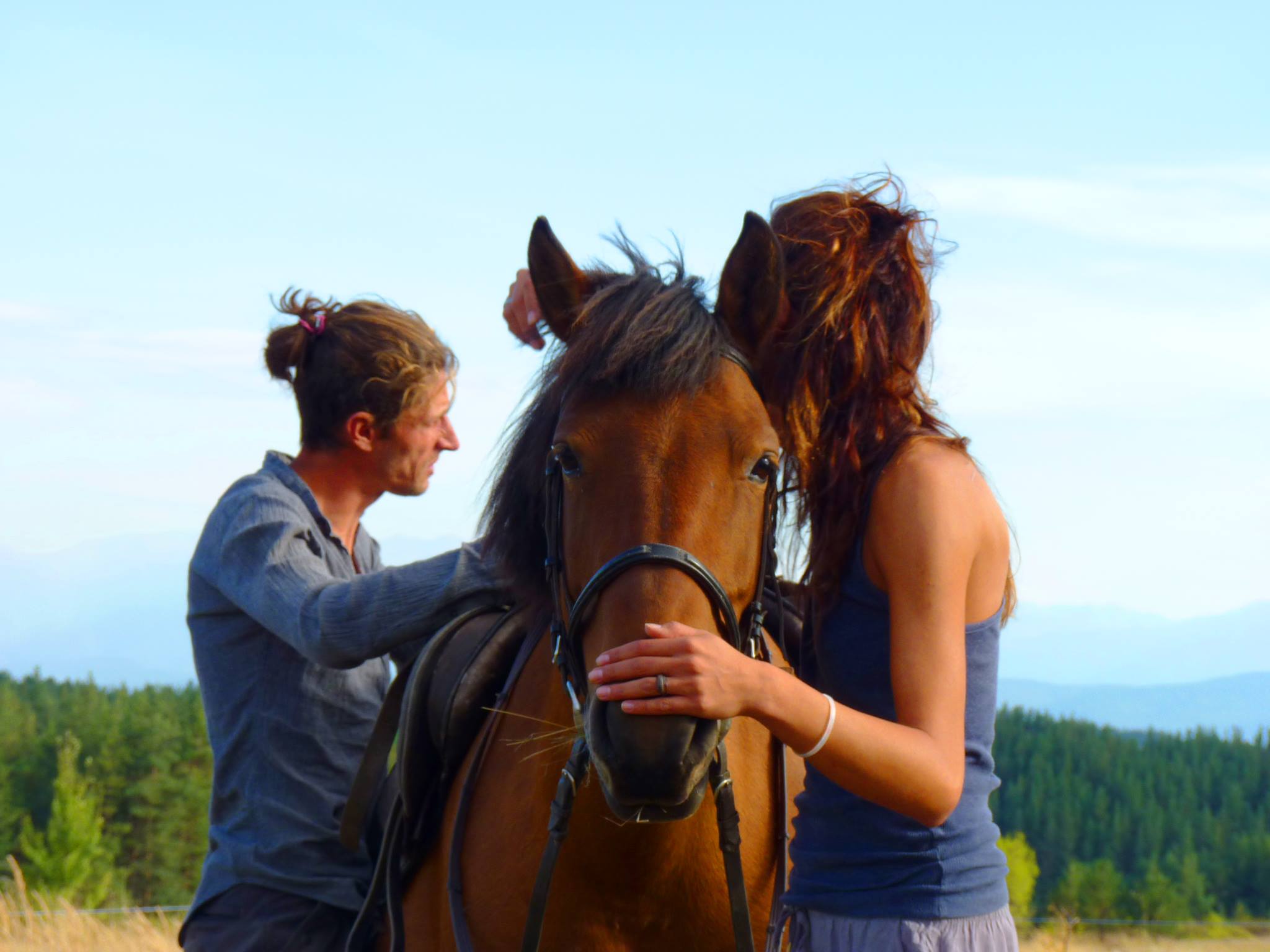 Pferd und Menschen